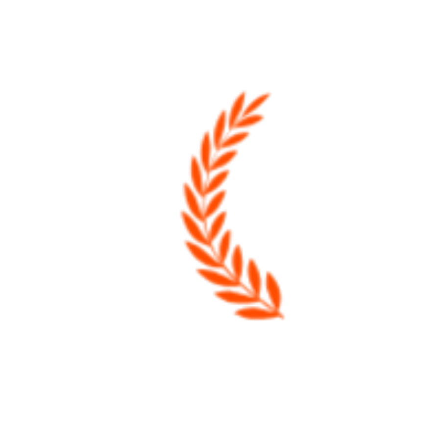 RoomDesign - Rated 4.9+ by RoomDesign Users