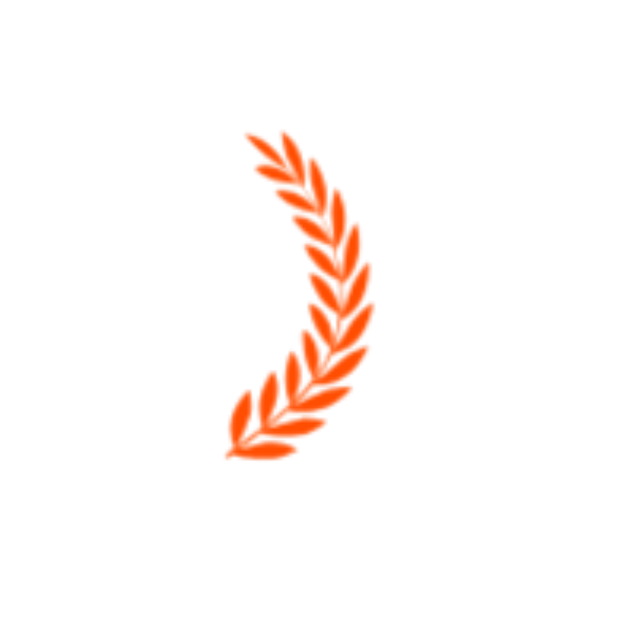 RoomDesign - Rated 4.9+ by RoomDesign Users